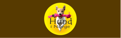 Hund irge