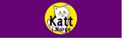 Katt irge