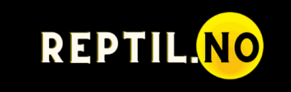 Reptil